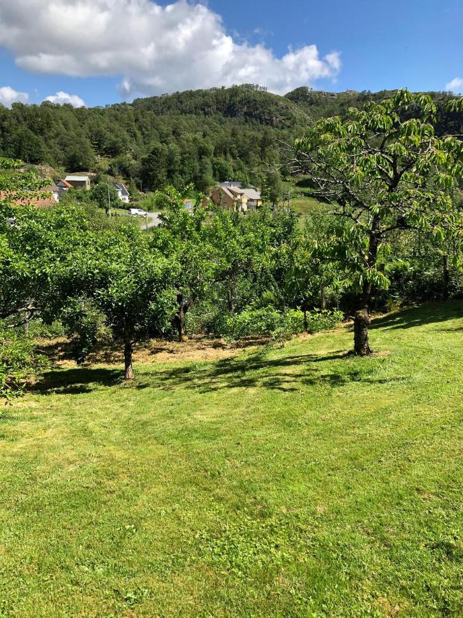 Sokndal - Cozy Vacation Home In Peaceful Surroundings Algard  Εξωτερικό φωτογραφία